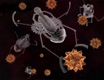  Человек впустит в себя 
нанороботов, чтобы, к примеру, избавиться от вируса, и постепенно 
превратится в Нано Сапиенс (иллюстрация с сайта 
roboticahoje.hpg.ig.com.br). 
